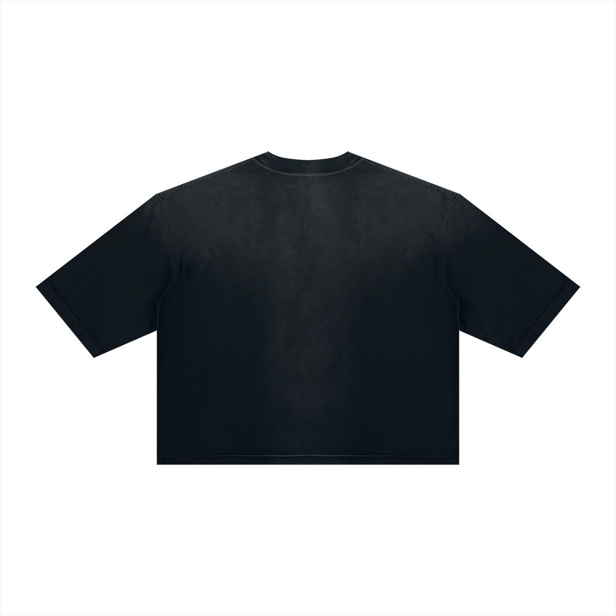 micheal jordan graphic tee (boxy fit)